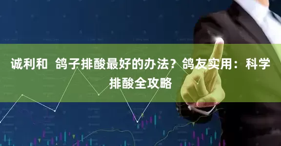 诚利和  鸽子排酸最好的办法？鸽友实用：科学排酸全攻略